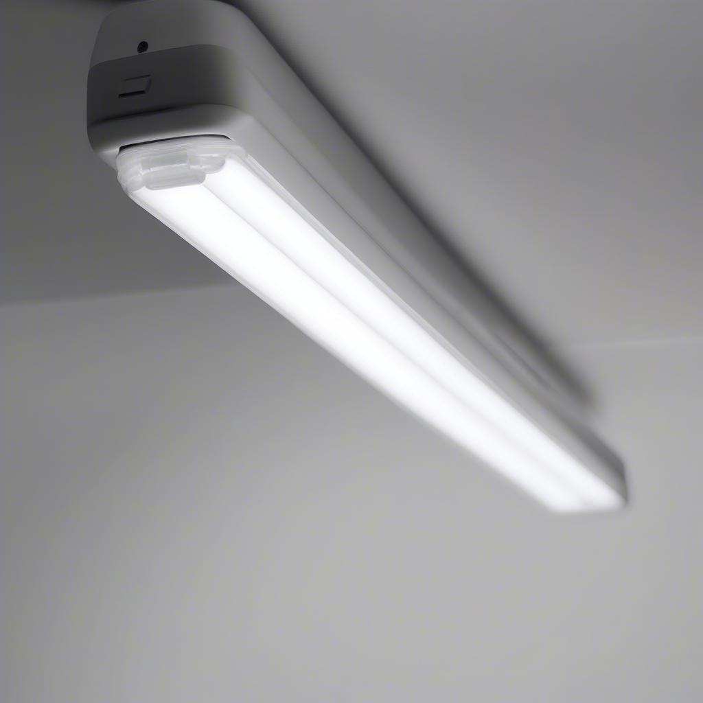 Bóng đèn tuýp LED liền máng