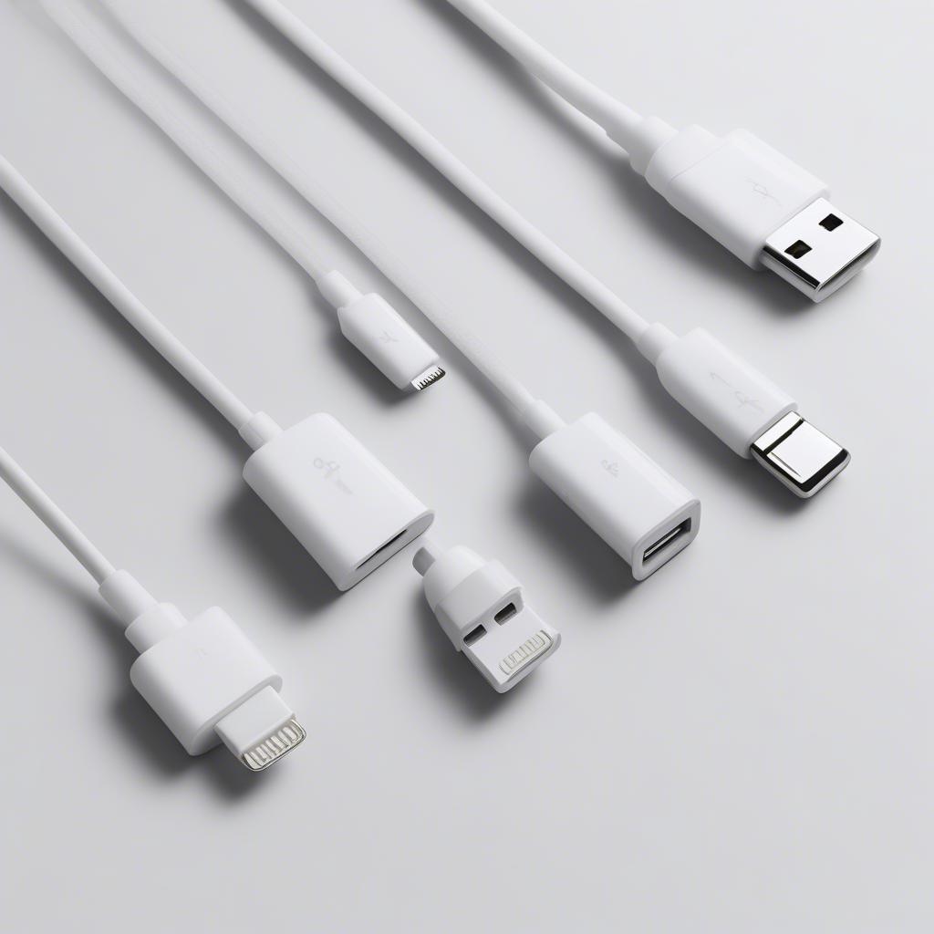 Các loại chân sạc iPad: Lightning và USB-C