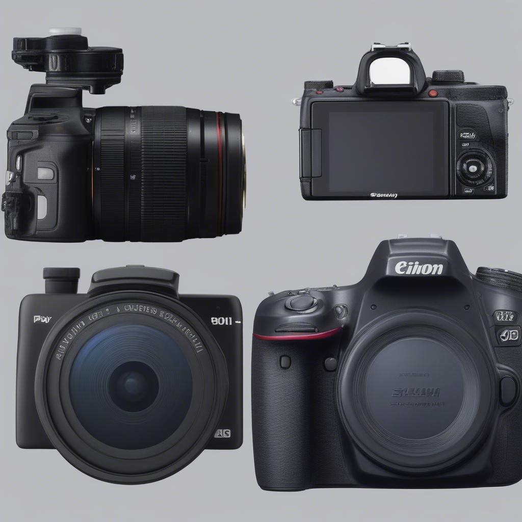 Camera Chụp Ảnh DSLR và Mirrorless