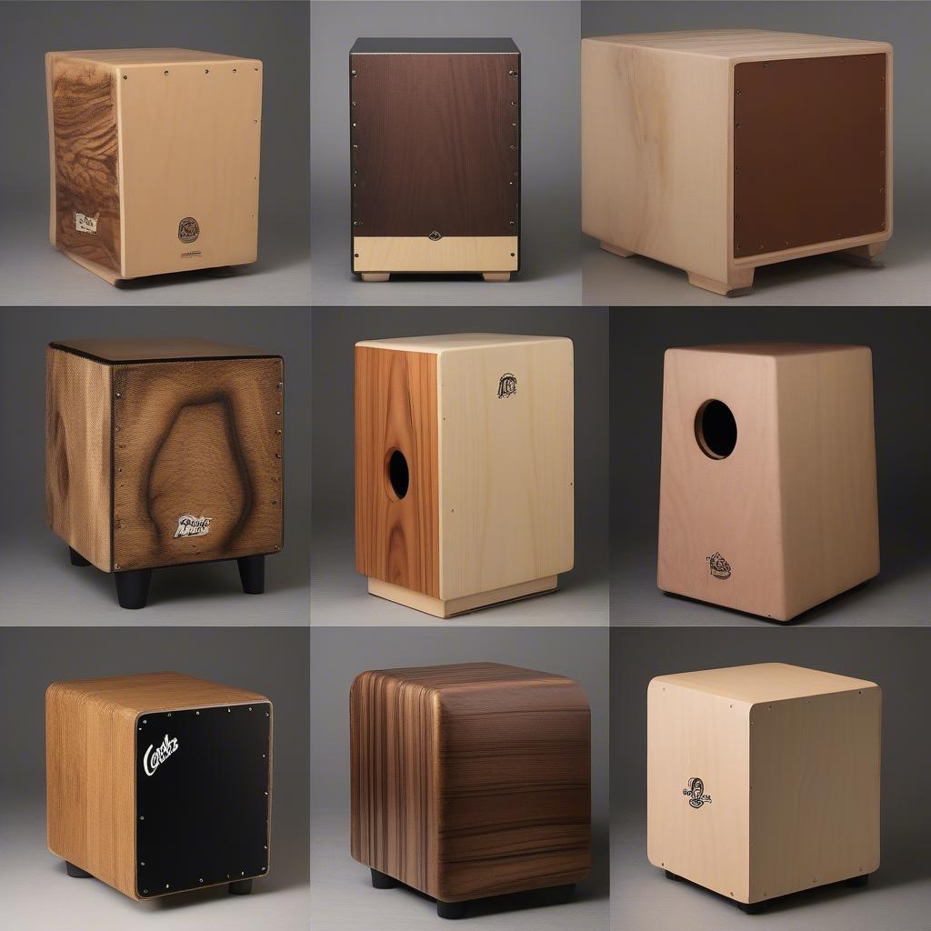 Các Loại Cajon Phổ Biến