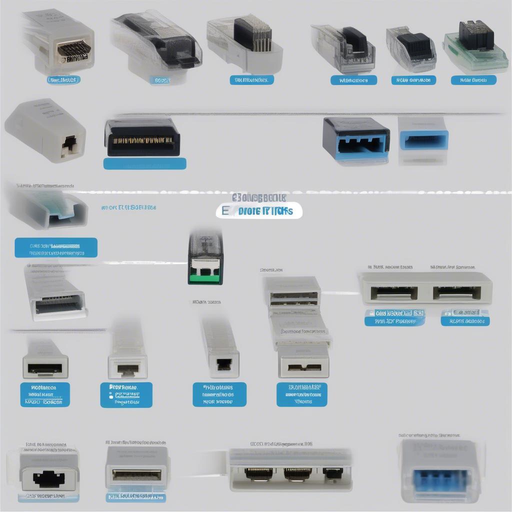 Các loại cổng RJ45