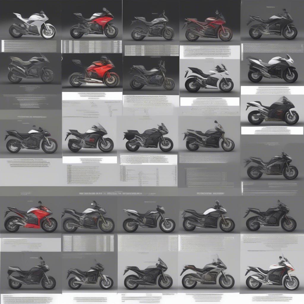 Different Motorcycle Types and Seat Heights