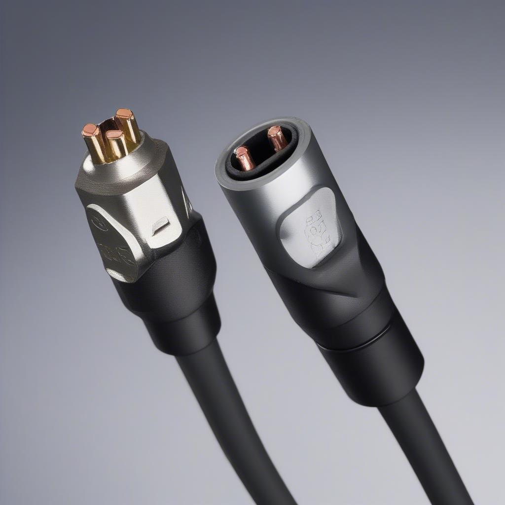 Cổng kết nối âm thanh XLR và RCA