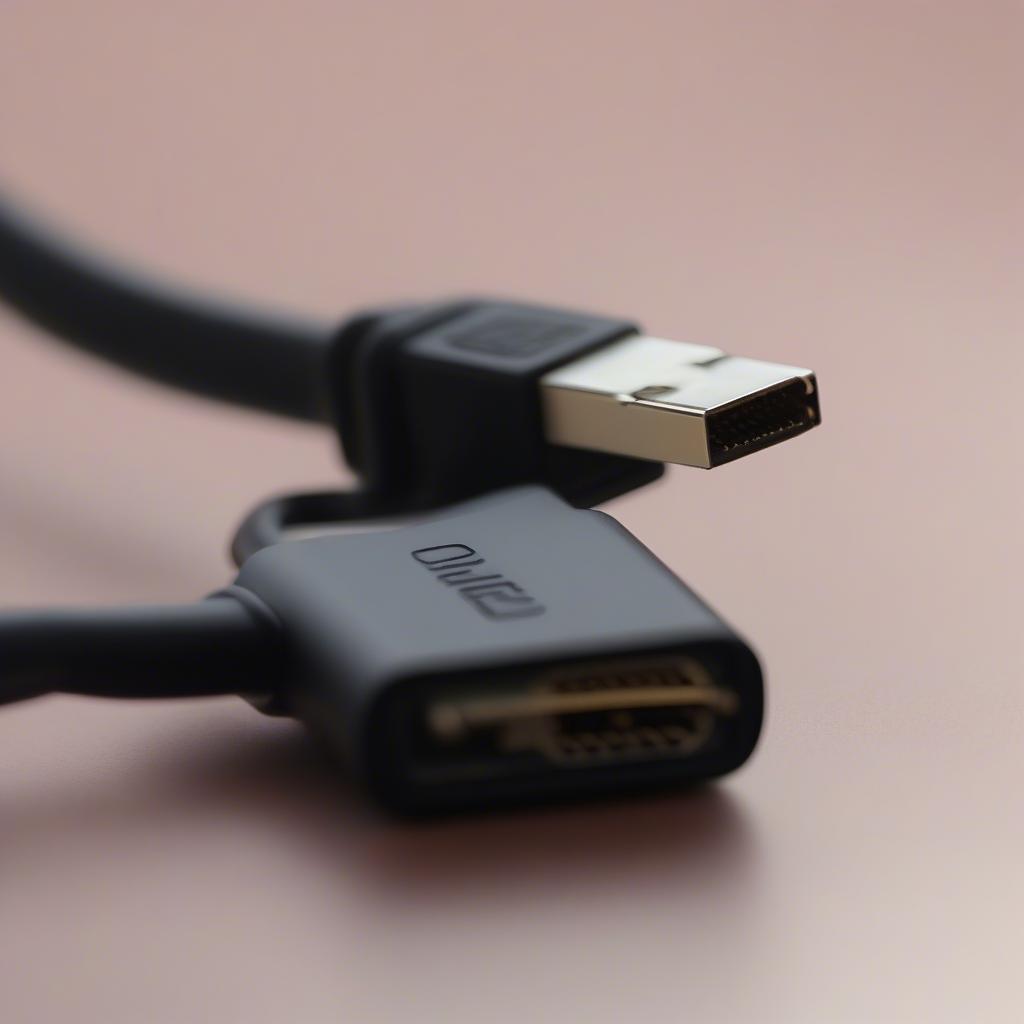 HDMI Type-C (Mini-HDMI)