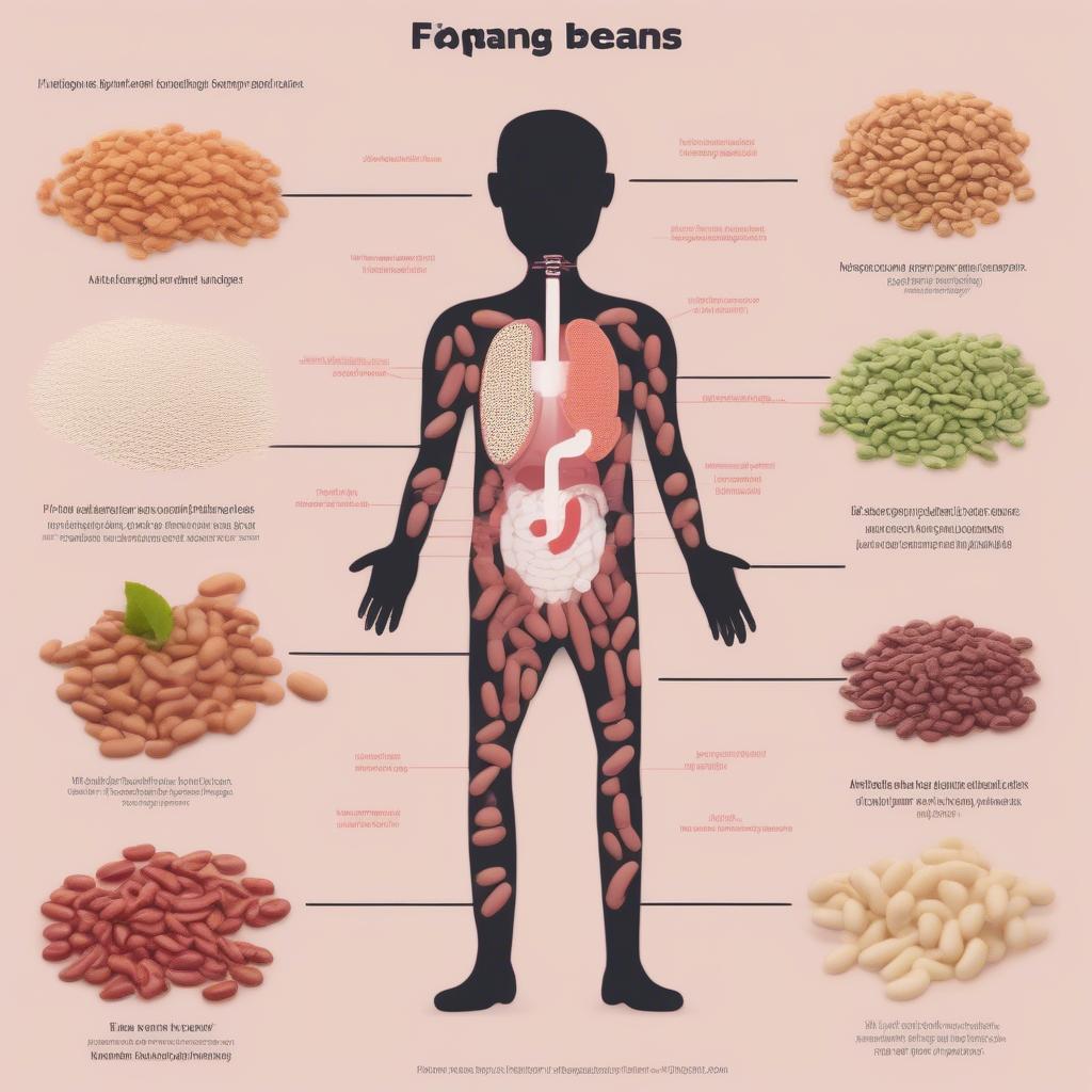 Tác hại của việc ăn quá nhiều đậu